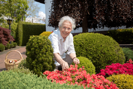 Immobilien-Leibrente für Senioren mit Haus und Garten